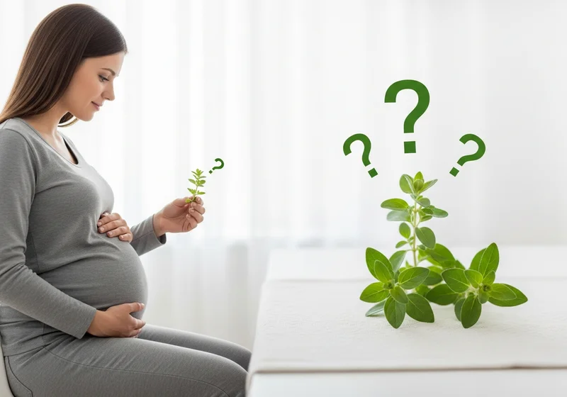 Ciężarna kobieta patrzy na gałązkę majeranku z pytajnikami wokół.